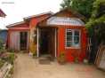 Algarrobo
